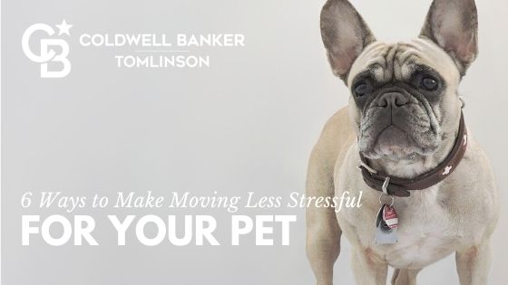 Moving with Pets